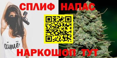дмт Новокубанск