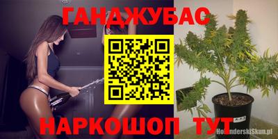 молекула духа Новозыбков