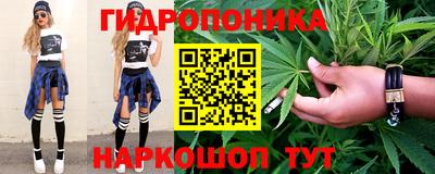 молекула духа Новозыбков