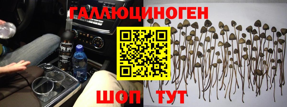 Псилоцибиновые грибы MAGIC MUSHROOMS  Галлюциногенные грибы MAGIC MUSHROOMS  Строитель  Вход с VPN 